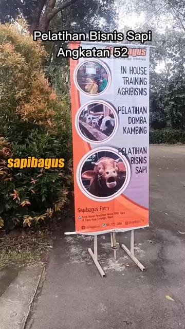 Pelatihan-Sapibagus-52